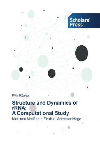 Structure and Dynamics of rRNA