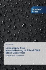 Lithography Free Nanopatterning of PS-b-PDMS Block Copolymer