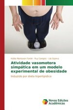 Atividade vasomotora simpatica em um modelo experimental de obesidade