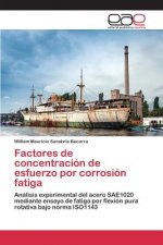Factores de concentracion de esfuerzo por corrosion fatiga