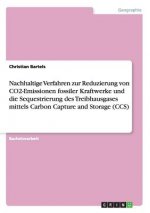 Nachhaltige Verfahren zur Reduzierung von CO2-Emissionen fossiler Kraftwerke und die Sequestrierung des Treibhausgases mittels Carbon Capture and Stor