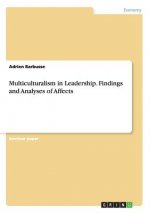 Multiculturalism in Leadership. Findings and Analyses of Affects