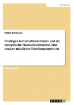 Niedriges Wirtschaftswachstum und die europaische Staatsschuldenkrise. Eine Analyse moeglicher Handlungsoptionen