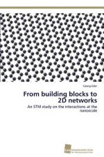From building blocks to 2D networks
