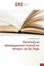 Electricite Et Developpement Inclusif En Afrique