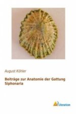 Beiträge zur Anatomie der Gattung Siphonaria