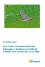 Bericht über die wissenschaftlichen Leistungen in der Naturgeschichte der niederen Tiere während des Jahres 1858