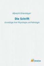 Die Schrift