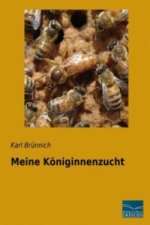Meine Königinnenzucht