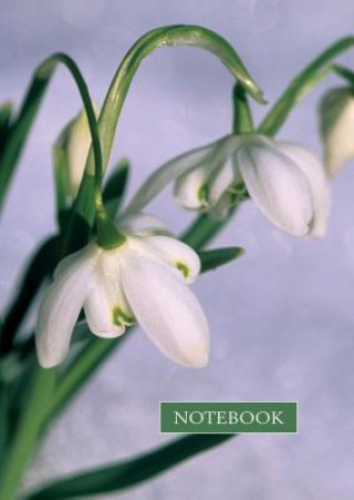 Notebook: Snowdrop