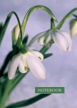 Notebook: Snowdrop