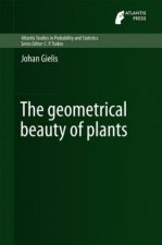 Geometrical Beauty of Plants