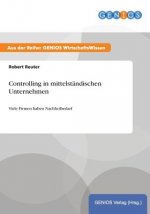 Controlling in mittelstandischen Unternehmen