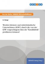 Werden kleinere und mittelstandische Unternehmen (KMU) durch die von der KfW vorgeschlagene Idee der 