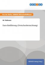 Euro-Einfuhrung (Zwischenbetrachtung)