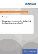 Management operationeller Risiken bei Kreditinstituten nach Basel II