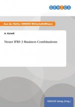 Neuer IFRS 3 Business Combinations