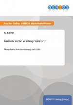 Immaterielle Vermoegenswerte