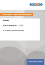 Jahressteuergesetz 2009