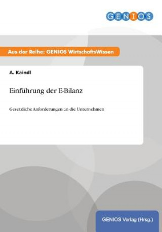 Einfuhrung der E-Bilanz
