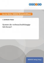Kommt die verbrauchsabhangige Kfz-Steuer?