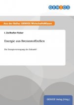 Energie aus Brennstoffzellen