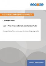 Das 4. Weltwasserforum in Mexiko-City