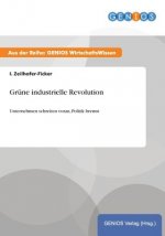 Grune industrielle Revolution