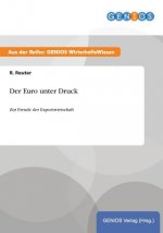 Der Euro unter Druck