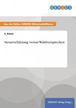 Steuerschatzung versus Wahlversprechen