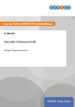 Ein Jahr Schwarz-Gelb
