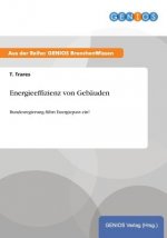 Energieeffizienz von Gebauden