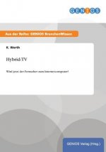 Hybrid-TV