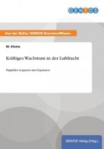 Kraftiges Wachstum in der Luftfracht