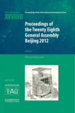 Proceedings of the Twenty-Eighth General Assembly Beijing 2012