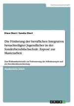 Foerderung der beruflichen Integration benachteiligter Jugendlicher in der Sonderberufsfachschule. Expose zur Masterarbeit
