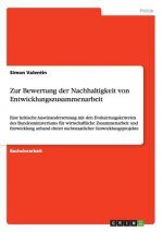 Zur Bewertung der Nachhaltigkeit von Entwicklungszusammenarbeit
