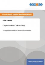 Organisations-Controlling