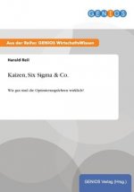 Kaizen, Six Sigma & Co.