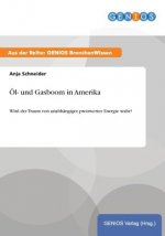 OEl- und Gasboom in Amerika