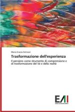 Trasformazione dell'esperienza