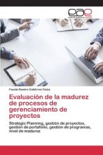 Evaluacion de la madurez de procesos de gerenciamiento de proyectos