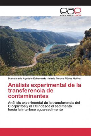 Analisis experimental de la transferencia de contaminantes