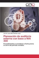 Planeacion de auditoria externa con base a NIA 300