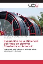 Evaluacion de la eficiencia del riego en sistema Enrollador en Amancio