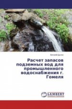 Raschet zapasov podzemnyh vod dlya promyshlennogo vodosnabzheniya g. Gomelya