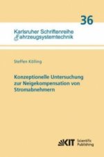 Konzeptionelle Untersuchung zur Neigekompensation von Stromabnehmern