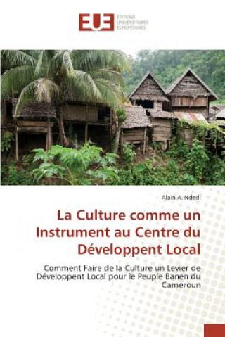 La Culture Comme Un Instrument Au Centre Du Developpent Local
