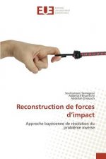 Reconstruction de Forces d'Impact