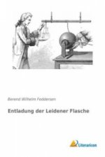 Entladung der Leidener Flasche